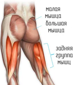 Hogyan húzza meg a fenék otthon - gyakorlat - pop-anya (sport) Hogyan húzza meg a fenék otthon - gyakorlat - pop-anya