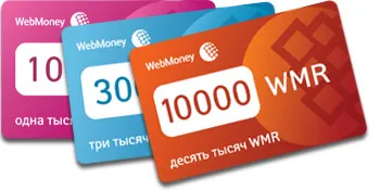 Hogyan tegyük pénzt WebMoney - minden fajta finanszírozás (WebMoney) Hogyan tegyük pénzt WebMoney - minden módját, hogy töltse