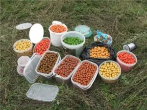 Hogyan lehet elkapni a ponty a nyári és hogy fogott egy nagy ponty a nyáron tálcák (sebességfokozatban ponty) Hogyan lehet elkapni a ponty a nyári és hogy fogott egy nagy ponty nyáron tálcákkal