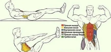 Hogyan tud fordulni az otthoni sajtó férfi képek
