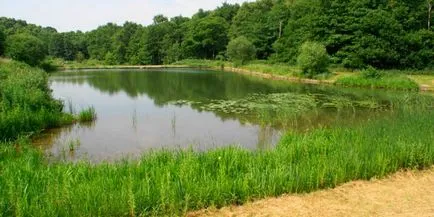 Hogyan lehet elkapni ponty a csalit, hogy hol és mikor hal (ponty) Hogyan lehet elkapni ponty a csalit, hogy hol és mikor elkapni