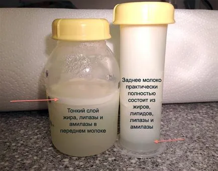 Hogyan lehet növelni a zsírtartalma anyatejbe szoptató anyák, milyen élelmiszereket kell fogyasztani