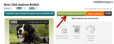 Hogyan hozzunk létre egy profi online névjegy ismerete nélkül html, css és php válasz motocms,