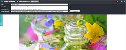 Függetlenül, hogy támogassák a webhely a keresőkben