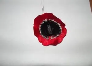 Hogyan készítsünk mák szövet mesterkurzust videó leckék