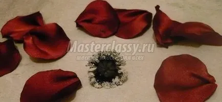 Hogyan készítsünk mák szövet mesterkurzust videó leckék