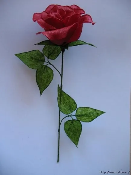 Hogyan tegyük egy rózsát ki egy fotó szalagvezető