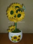 Hogyan készítsünk egy műkertészeti kezük lépéseket fotók kezdőknek