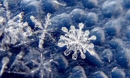Hogyan készítsünk egy fajta vizet az otthoni (fajta vizet otthon) Hogyan készítsünk egy fajta vizet az otthoni