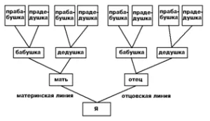 Hogyan készítsünk egy családfát, olvasás technológia