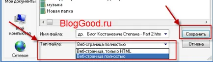 Hogyan kell menteni az oldalt, és a képet az interneten, blog kostanevicha Stepan