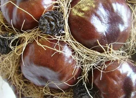 Hogyan hozzunk létre egy műkertészeti