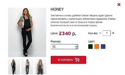 Hogyan hozzunk létre saját online áruház mellékletek nélkül (nyitni egy online áruház) Hogyan hozzunk létre saját online áruház nélkül beruházások