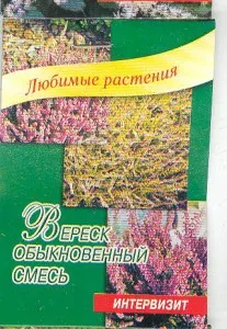 Heather ültetés és gondozás a nyílt terepen, egyre nagyobb a mag, fotók fajták (vetőmagok) Heather ültetés és gondozás a nyílt terepen, egyre nagyobb a mag, fotóminőségű