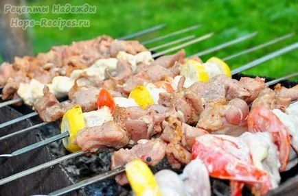 pácok lehetőségek egy ízletes és lédús kebabot