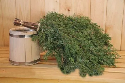 Broom cirok, hogyan nőnek, és megkötik a saját kezében (cirok) Broom cirok, hogyan nőnek, és megkötik a saját kezét