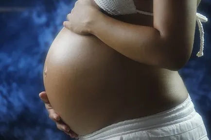 Szobakerékpár, amely az izmok dolgoznak, amely az előnyök és ártalmak (izom) Szobakerékpár, amely az izmok dolgoznak, amely az előnyök és ártalmak