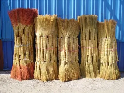 Broom cirok, hogyan nőnek, és megkötik a saját kezében (döntetlen) Broom cirok, hogyan nőnek, és megkötik a saját kezét