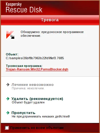 Hogyan lehet eltávolítani a zászlót a számítógépről (Kaspersky Rescue Disk) Hogyan lehet eltávolítani a zászlót a számítógépről