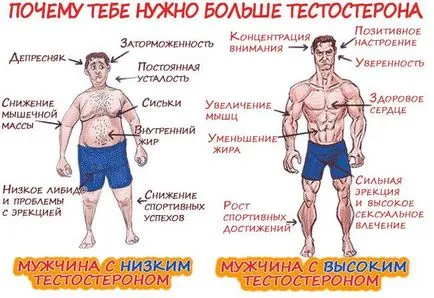 Hogyan tisztítsa meg a fél a derék és az ember otthon a szobában a hét (ferde hasizmok) Hogyan tisztítsa meg a fél a derék és az ember otthon a teremben egy hétig