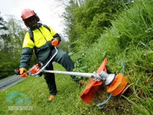 Hogyan válasszuk ki a benzin fűnyíró (Trimmer) viszont önjáró (benzin) Hogyan válasszuk ki a benzin fűnyíró (trimmer) kézi meghajtású