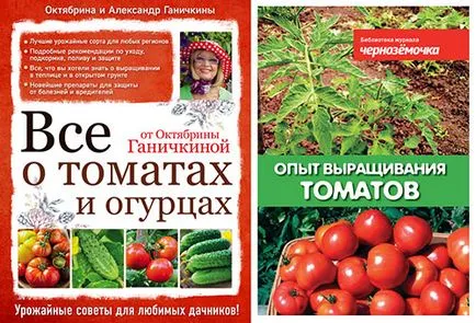 Hogyan válasszuk ki a palánta paradicsom piaci szabályok és az esetleges hibákat (paradicsom) Hogyan válasszuk ki a paradicsom palántát a piaci szabályok és a lehetséges hibák