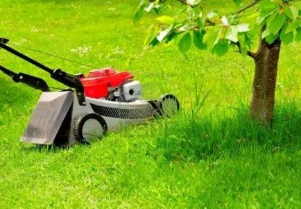Hogyan válasszuk ki a fűnyíró, így a benzin vagy elektromos, önjáró vagy manuális
