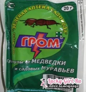 Hogyan, hogy visszavonja a kertben Medvedkov módszerek elleni Medvedkov