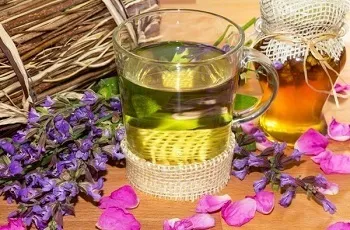 Hogyan sört zsálya, csoda tea