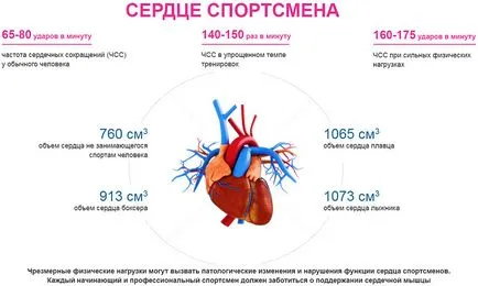 Cardio a szív, kardió edzés a szív, a szív, hogy megerősítse a szív, kardió edzés
