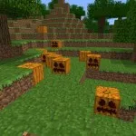 Küldje a Minecraft