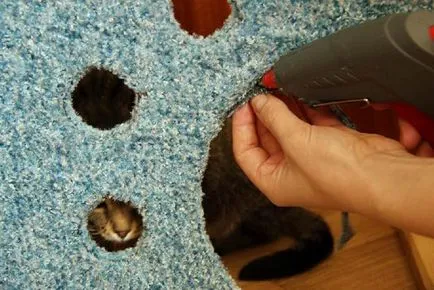 Cat háza saját kezűleg, tippeket oszthatnak