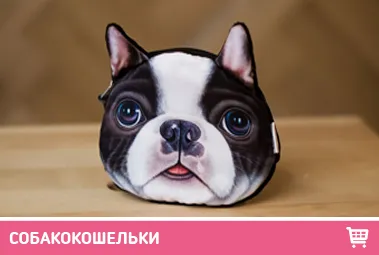 Vásárolja sobakopodushku - szállítás Magyarország egész területén, vesz egy párnát a kutya a legjobb áron (a párna) Vásárolja sobakopodushku - szállítás Magyarország egész területén, vesz egy párnát a kutya a legjobb áron