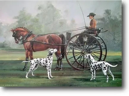 Kik azok a „coach-dog”