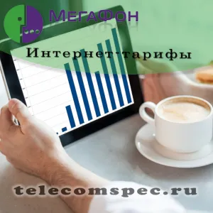 Kiválasztása jövedelmező internetes sebességgel egy hangszóró (hangszóró) Kiválasztása jövedelmező internetes sebességgel egy megafon