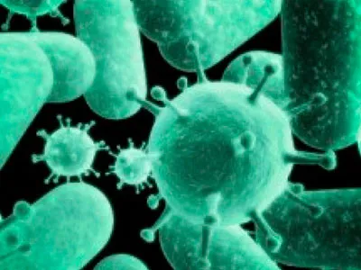 Típusú és formájú prostatitis férfiaknál, az esélye az akut és krónikus betegségek (prostatitis) Típusú és formájú prostatitis férfiakban, akut és krónikus betegségek esélye