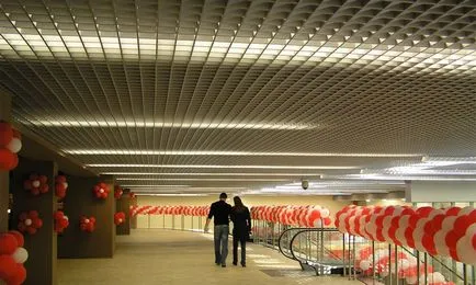 Formái és típusai álmennyezetek a kialakítás és anyag gyártási (mennyezetek) Formái és típusai álmennyezetek tervezése és gyártása az anyag