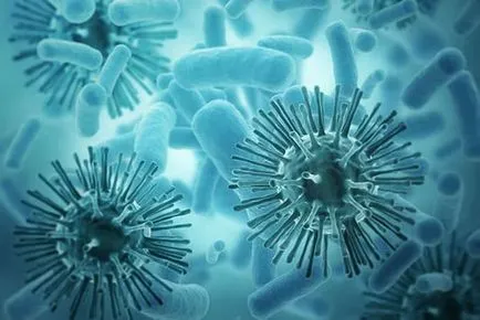 Típusai immunitás fogalma, jellemzői besorolás