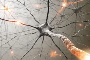 Népi jogorvoslati sclerosis multiplex kezelésére, a kínai orvoslás, diéta, masszázs