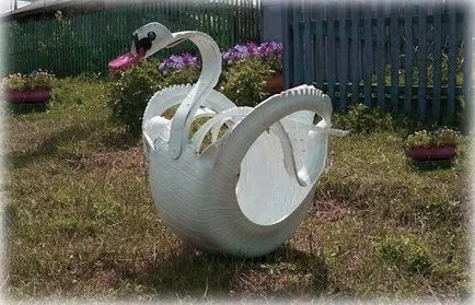 Swans a gumiabroncs kezeddel fotó (hattyúk) Swans a gumiabroncs kezeddel fotó