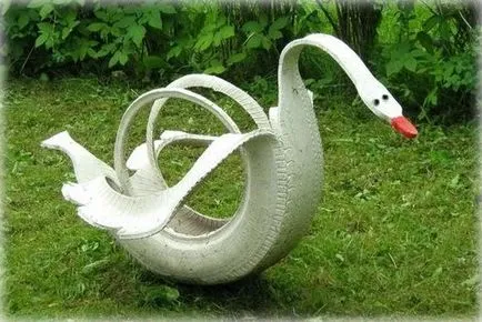 Swans a gumiabroncs kezeddel fotó (saját) Swans a gumiabroncs kezeddel fotó