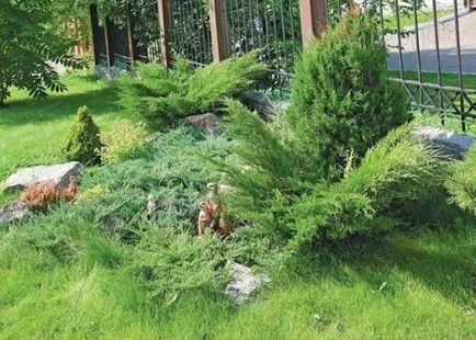Fekvő része egy lejtőn, a teljes kialakítás egy helyen (terület) Parkosítás területen a lejtőn, a teljes tervezési egy helyen