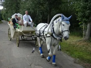 Lovak az esküvő - egy jó ötlet egy fotózásra