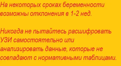 Fronto occipitalis magzati méretű asztal, gyümölcs mérete