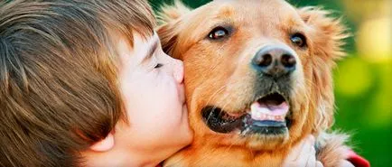 Giardia gyermekeknél a tünetek és a kezelés, amint arról giardiasisnak milyen elemzéseket kell átadni egy listát a gyógyszerek
