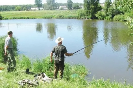 Fogása a nagy pontyok, hogyan kell elkészíteni, és mit kell figyelembe venni a folyamatban
