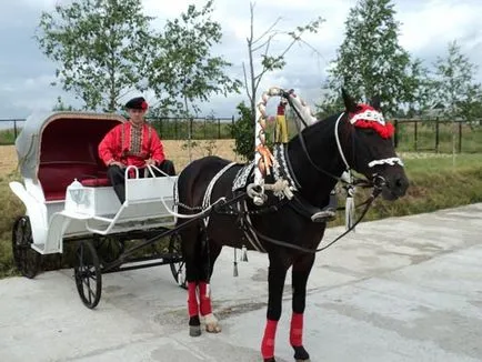 Lovak esküvőre