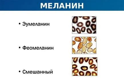 A melanin, hogyan kell visszaállítani