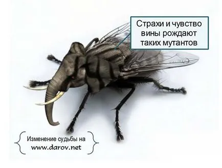 Meg lehet változtatni a sorsát, igen! (Hogyan változtassuk a saját sorsát) Meg lehet változtatni a sorsát, igen!