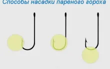 Abban harapás ponty legjobb csali és csalik, kezelése elkapta a tavasszal, télen, nyáron és ősszel, video